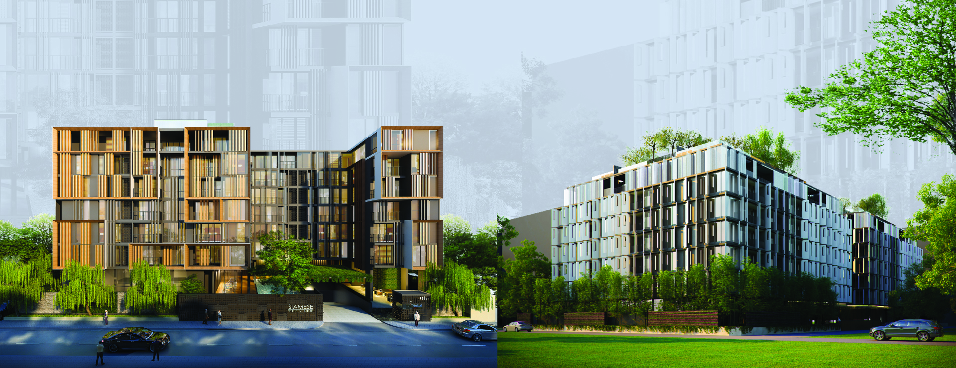 2011 Siamese Gioia Project